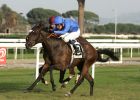 DubaiSurprise-PremioLydiaTesio-SGrasso1-231005.jpg