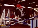 horse_0657.jpg