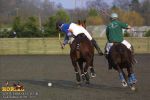 horse_4012.jpg