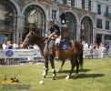 horse_6867.jpg