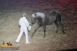 horse_7526.jpg