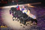 horse_7605.jpg