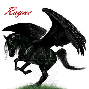 http://horsecity.ru/gallery/albums/userpics/10125/%D7%E5%F0%ED%FB%E9%20%EF%E5%E3%E0%F1%208.jpg