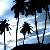 1751.gif