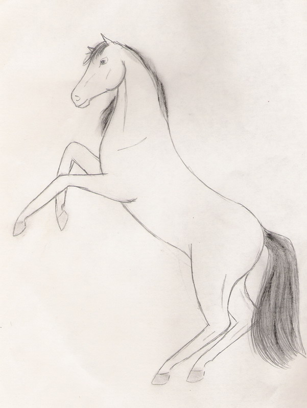 Рисунок 1.jpg