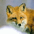1236.gif